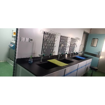 Anhui Dongpeng Laboratory New Construction Project (5)